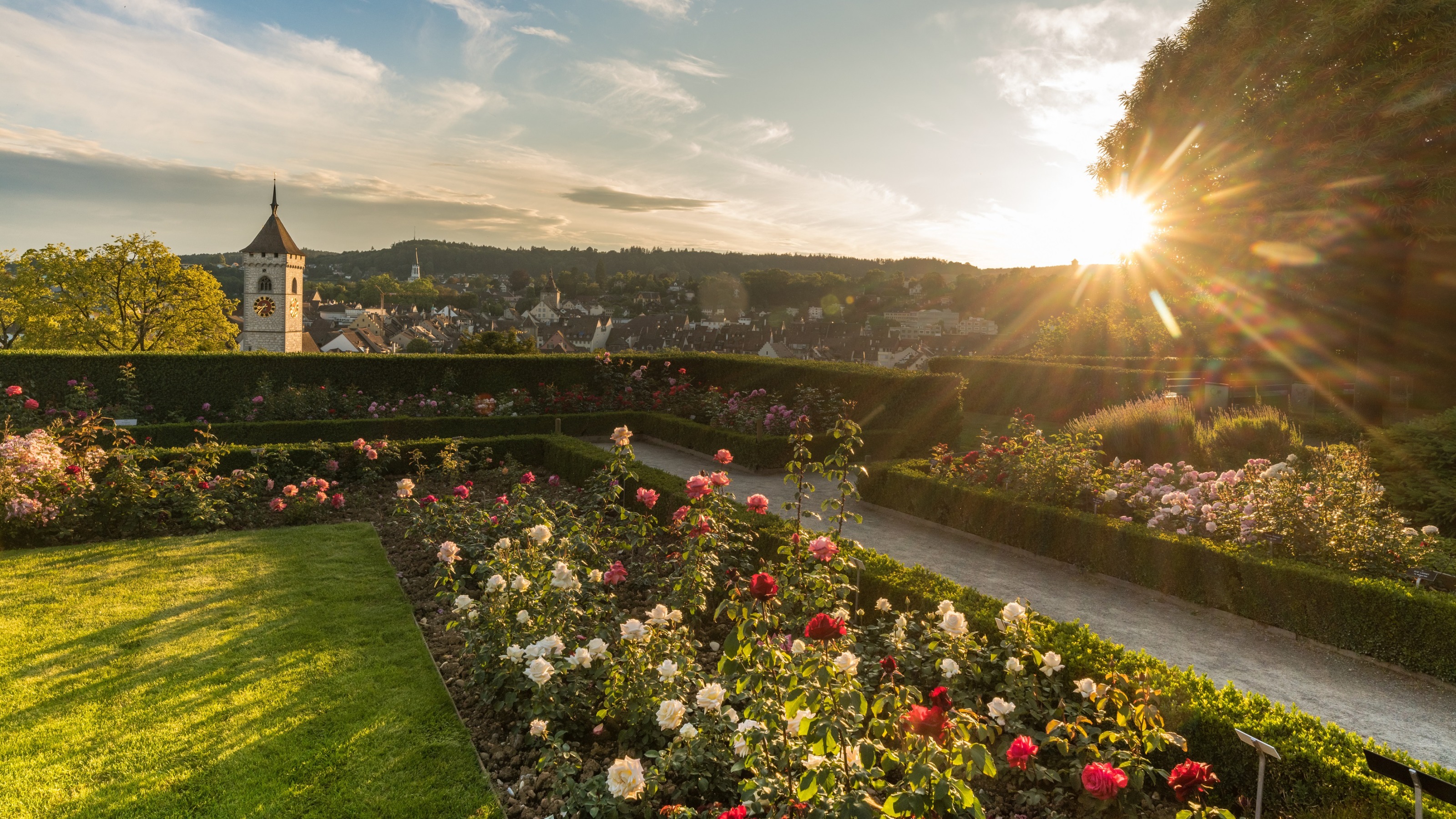 Munot Rose Garden | Switzerland Tourism