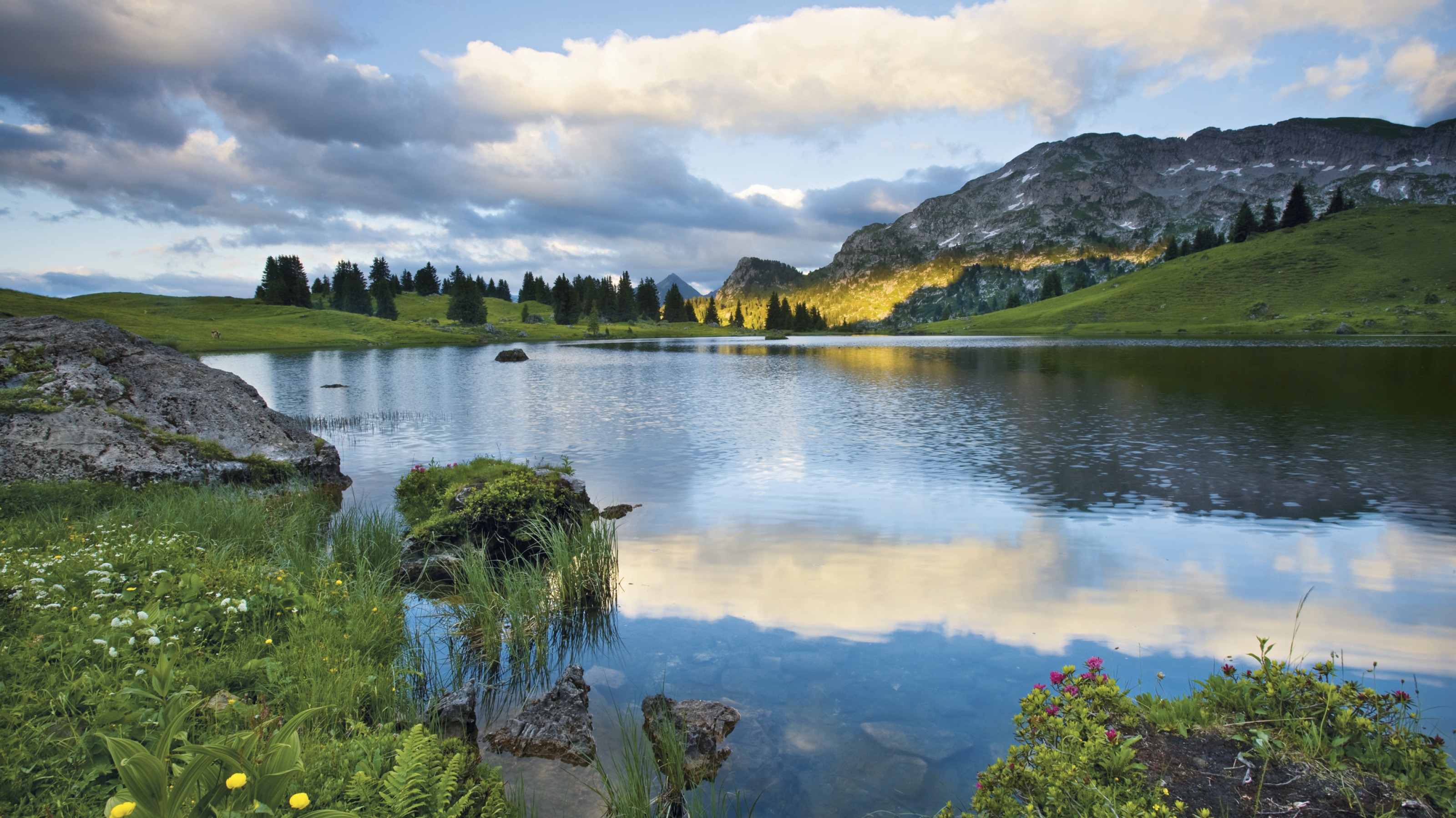 Seebergsee Berg Herz Grimmialp