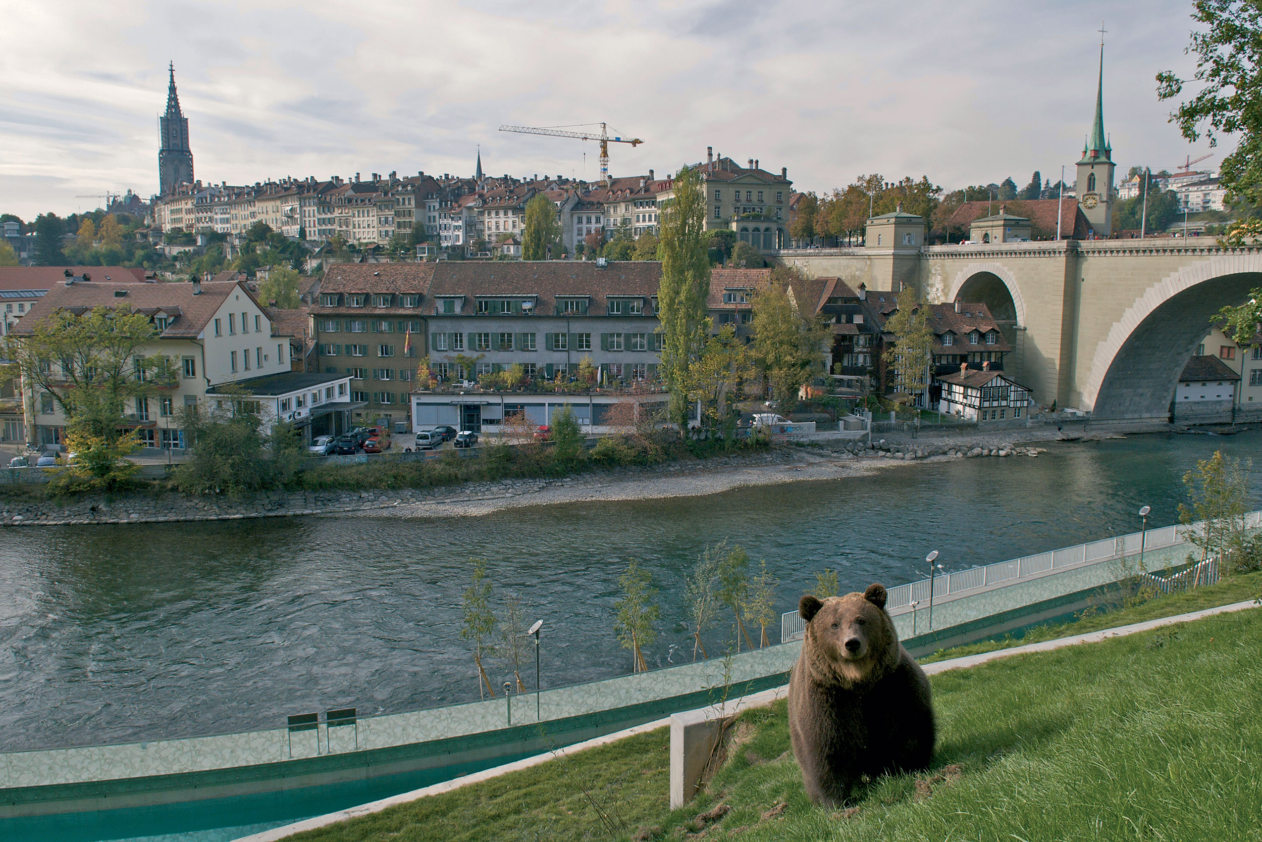 Bern Bear Park | Switzerland Tourism