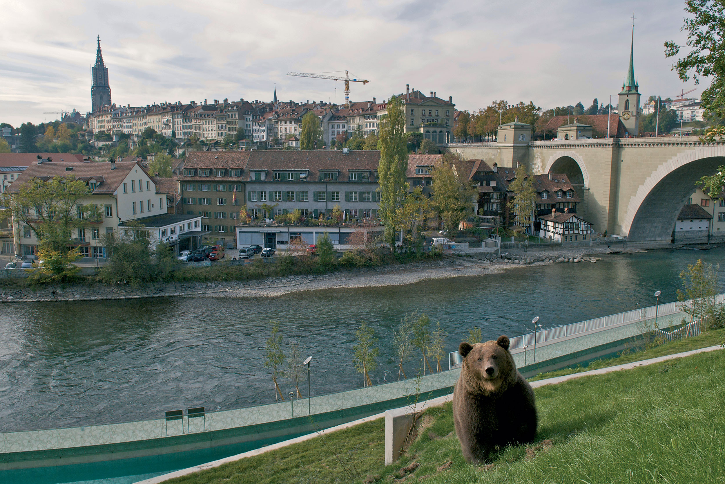 berne fosse aux ours