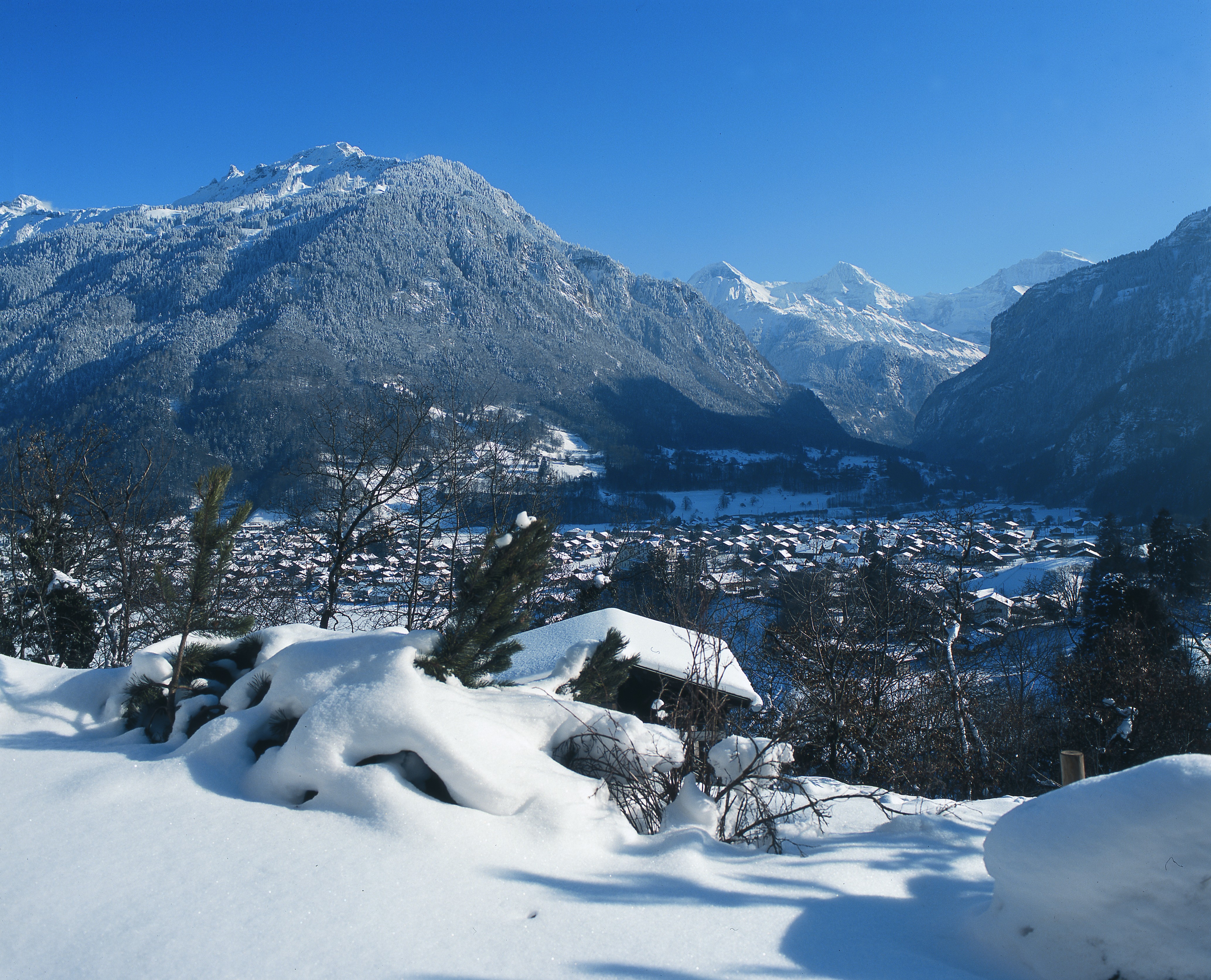 wilderswil switzerland tourism