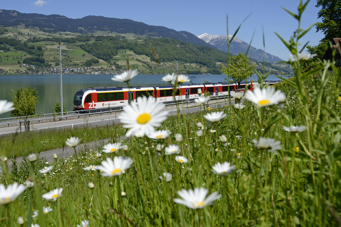 Tell Pass Central Switzerland Switzerland Tourism